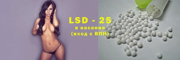 гашик Новокубанск